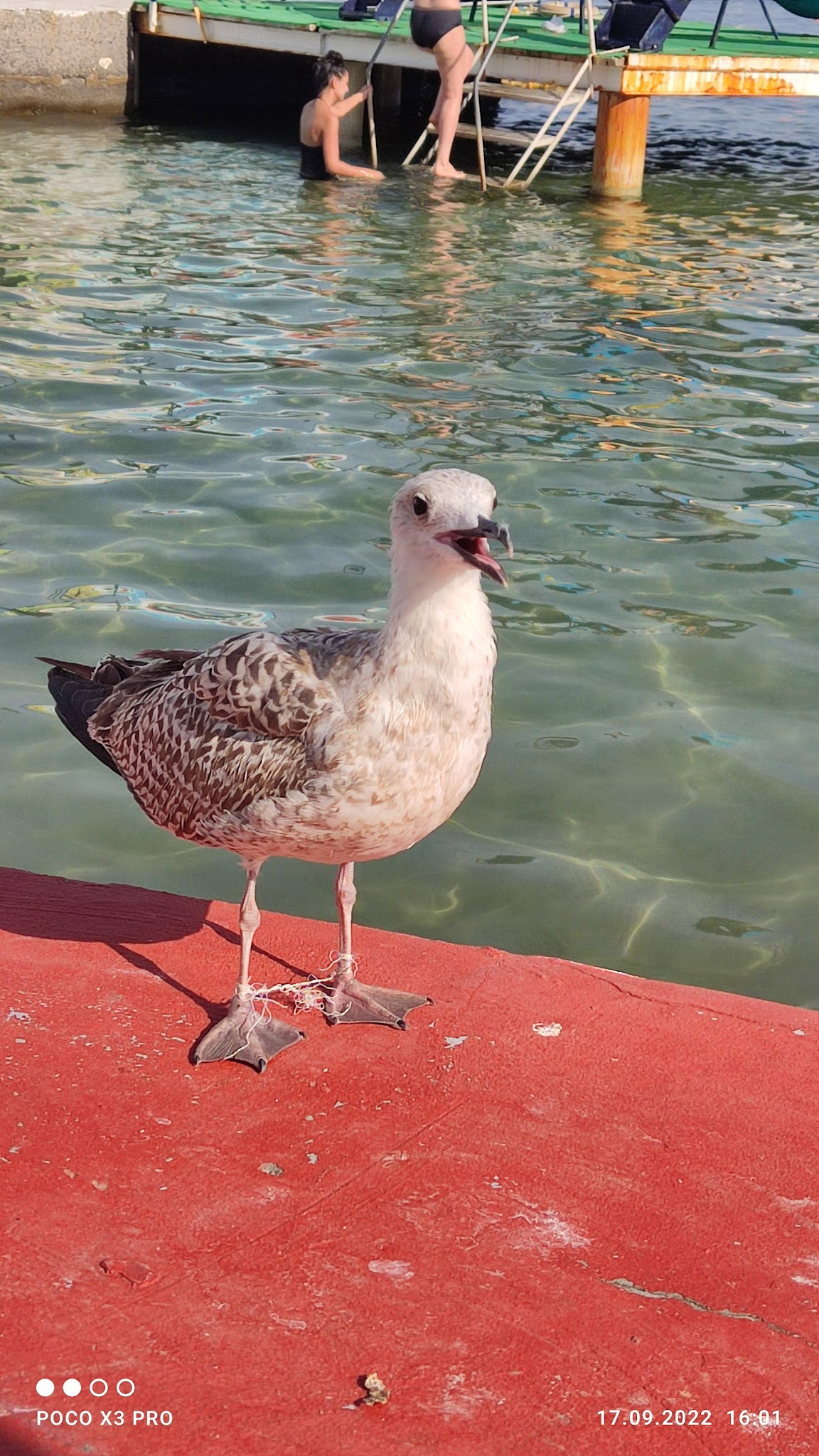 Nakibey Aile Plaj Tesisleri