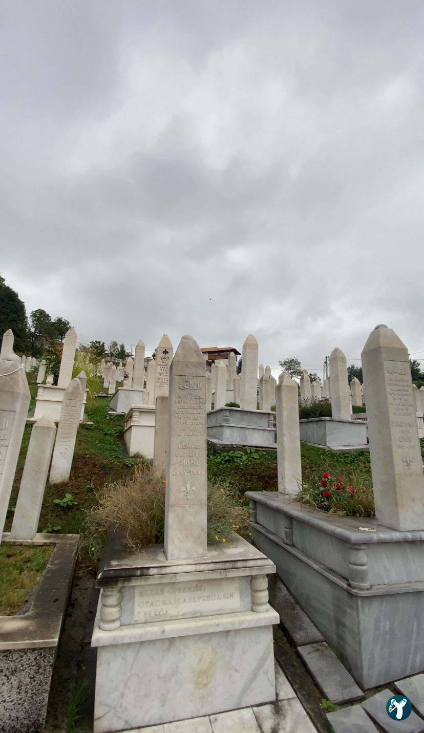 Bosna Ateşi