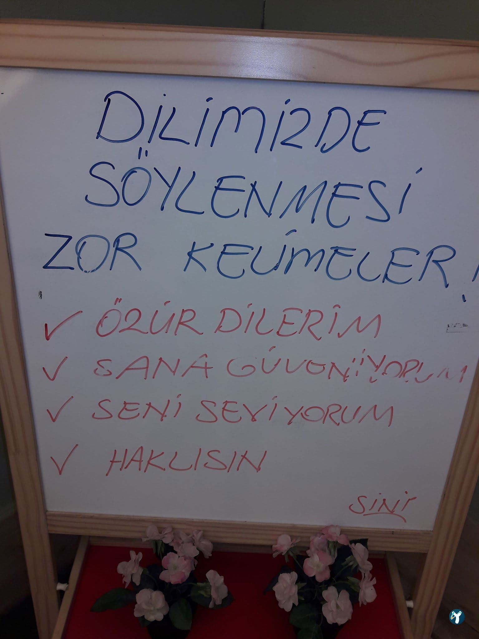 Sini Et Balık Restaurant