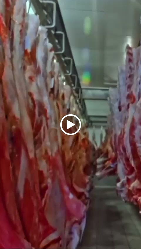 Bereket Döner Ve İskender