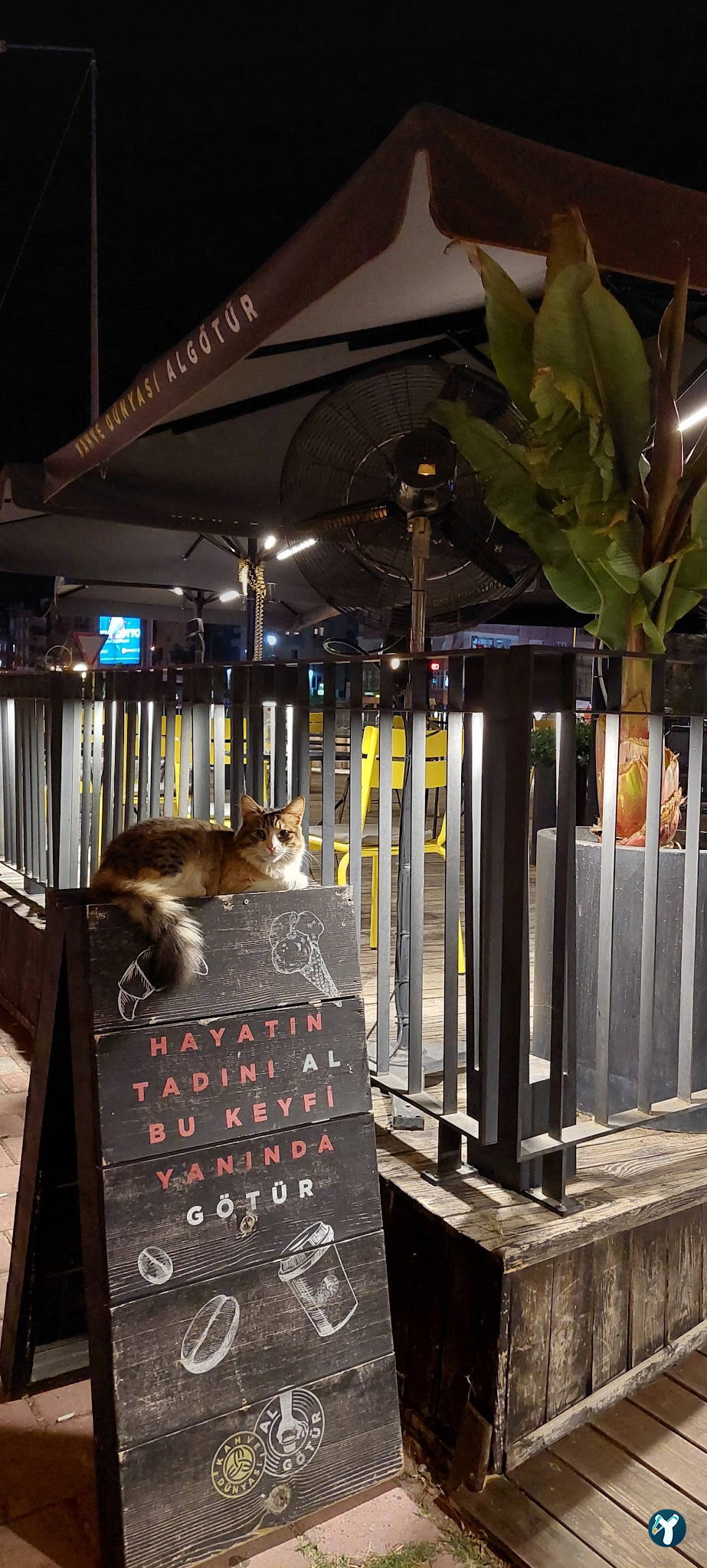 Kahve Dünyası Algötür - Antalya Konyaaltı