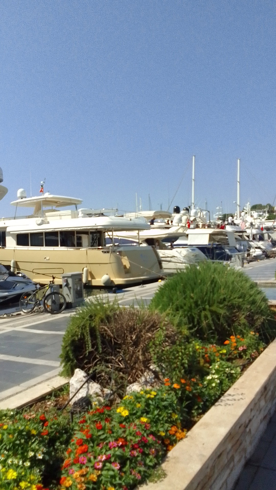 Bono Good Times Marina