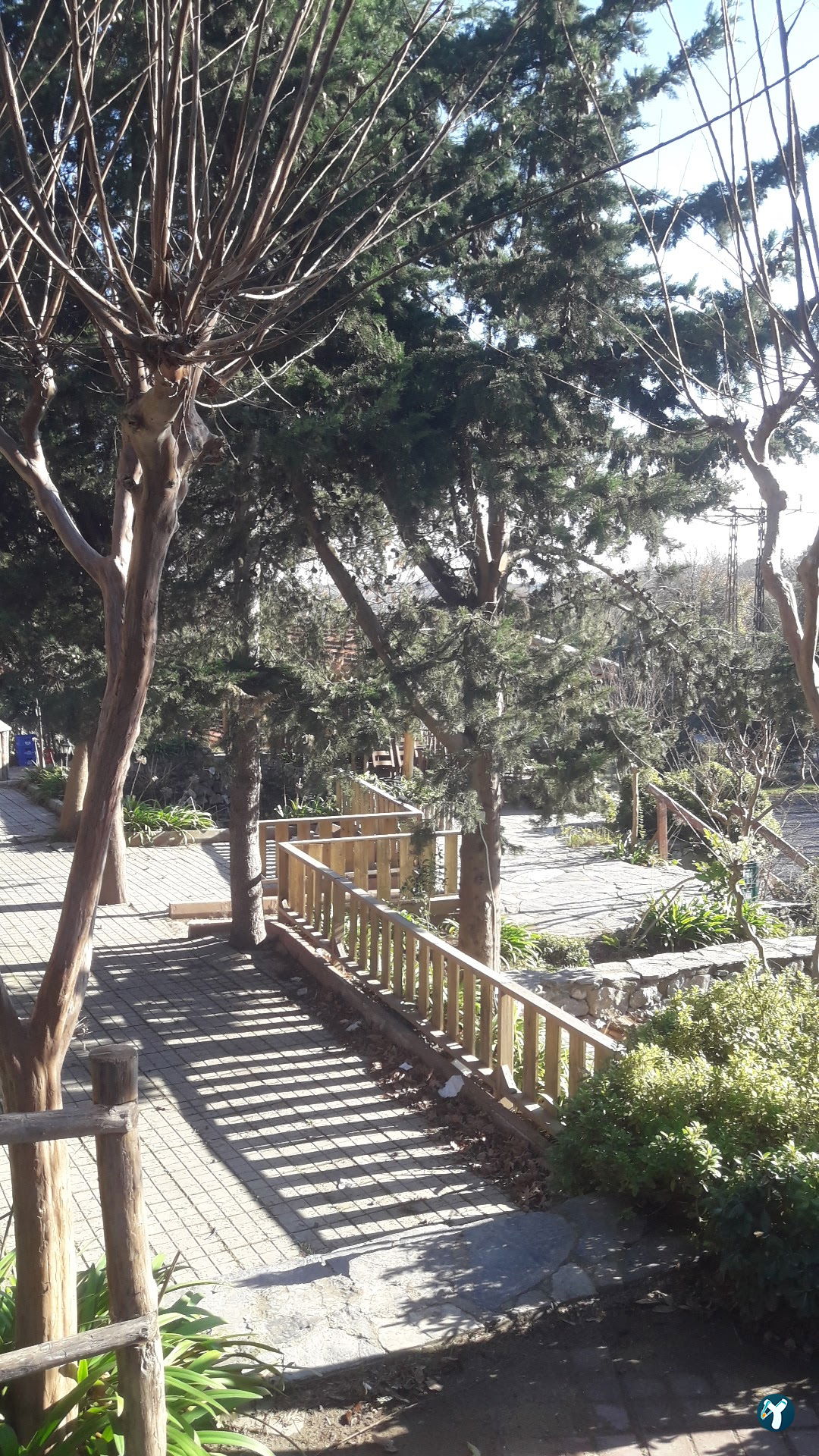 Dağ Restorant
