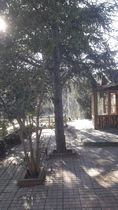 Dağ Restorant