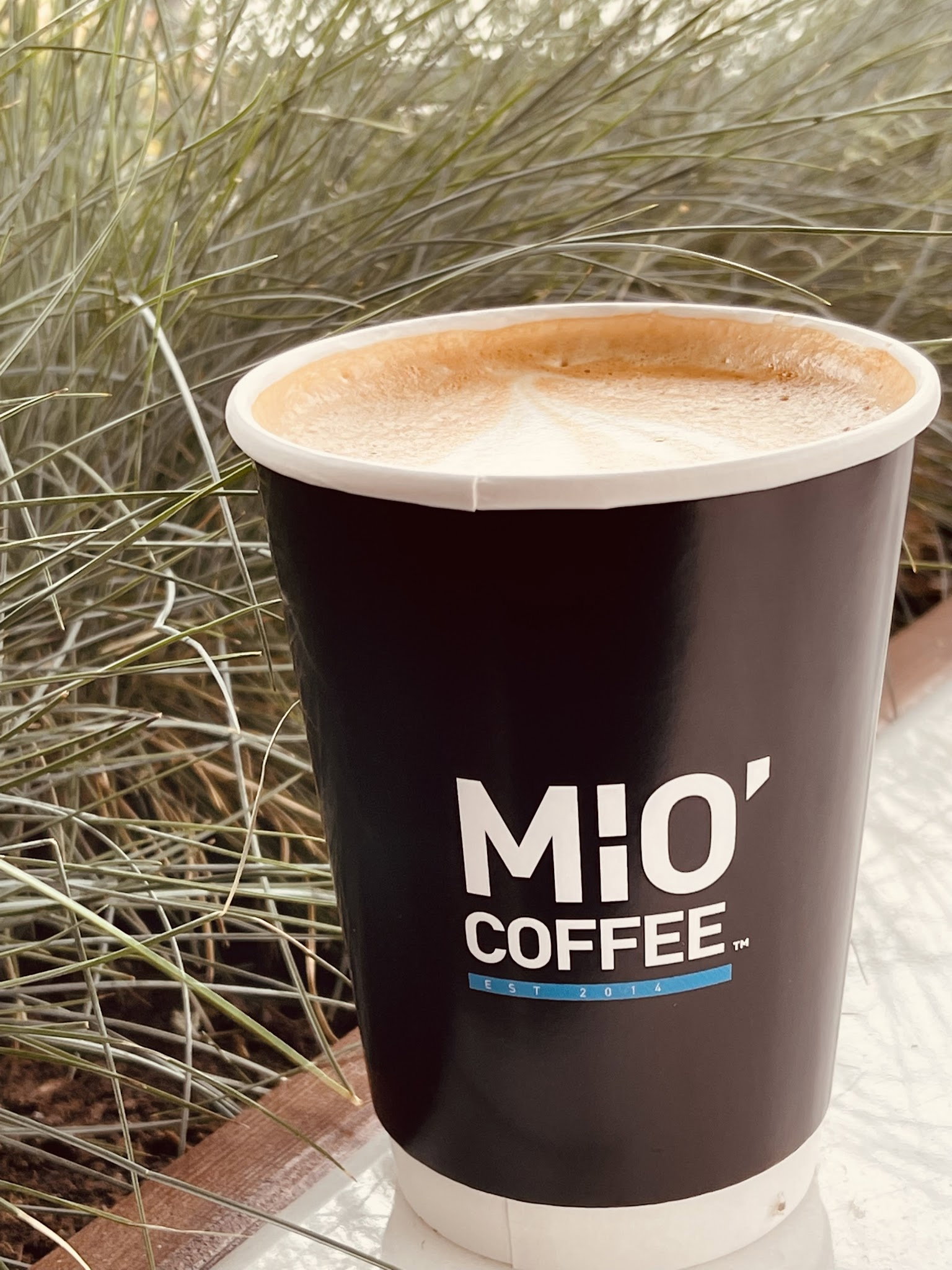 Mio Coffee