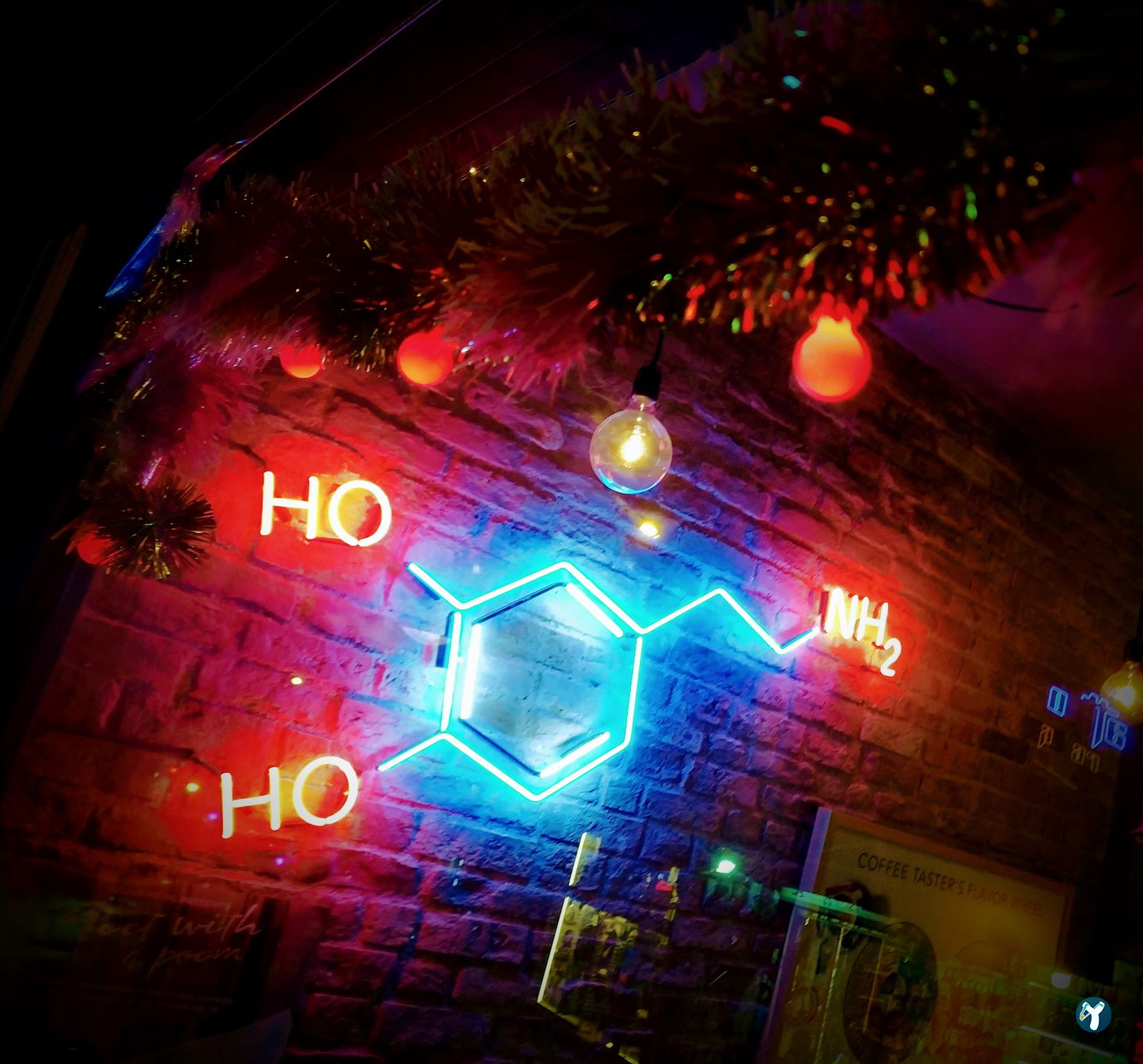 Dopamine Coffee Shop - Moda