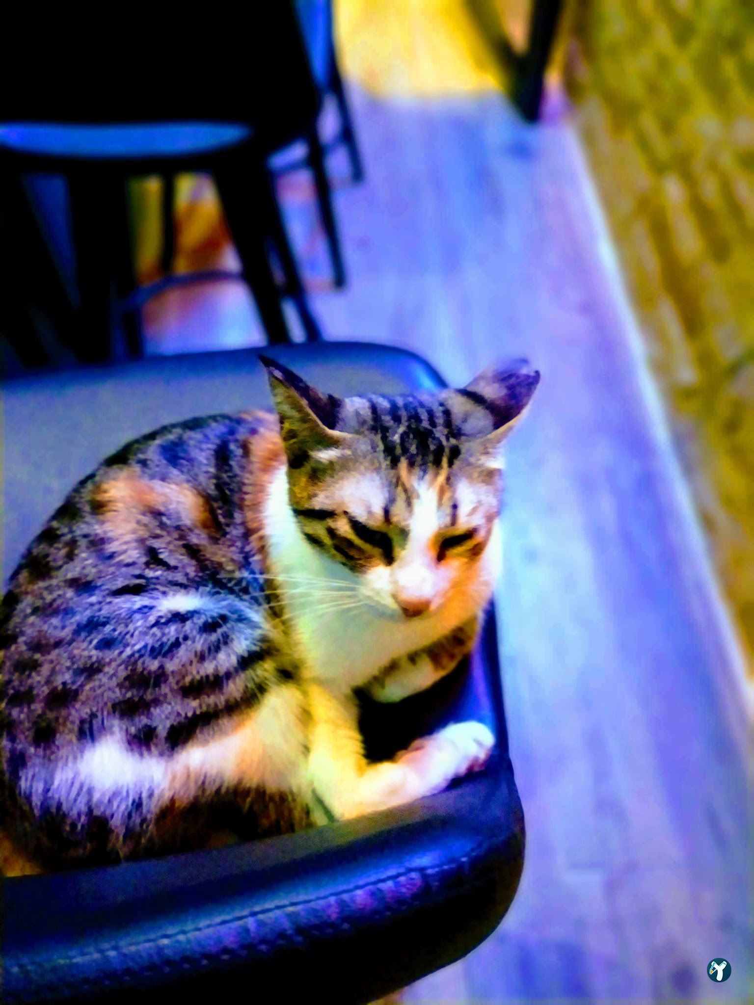 Dopamine Coffee Shop - Moda
