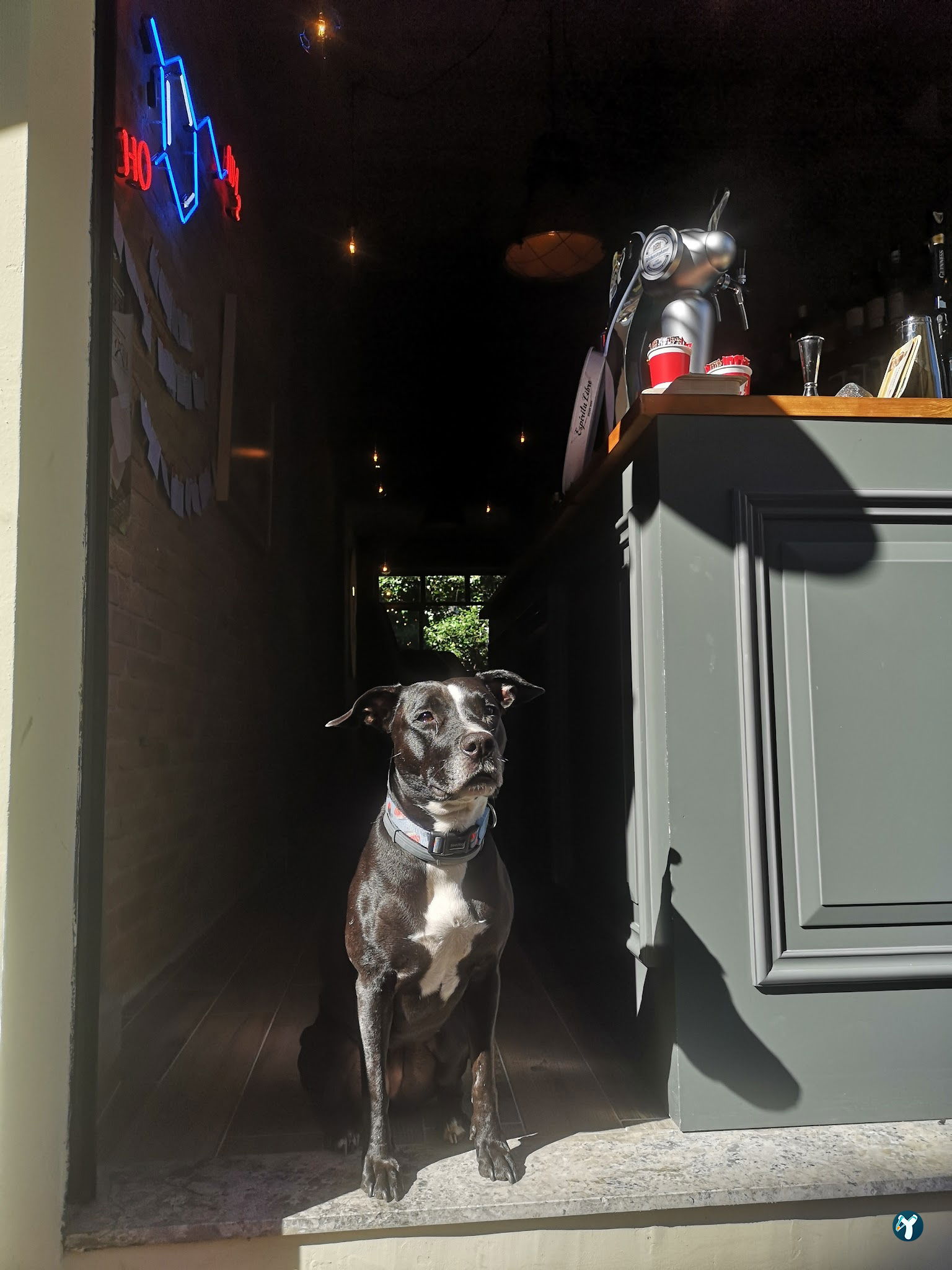Dopamine Coffee Shop - Moda