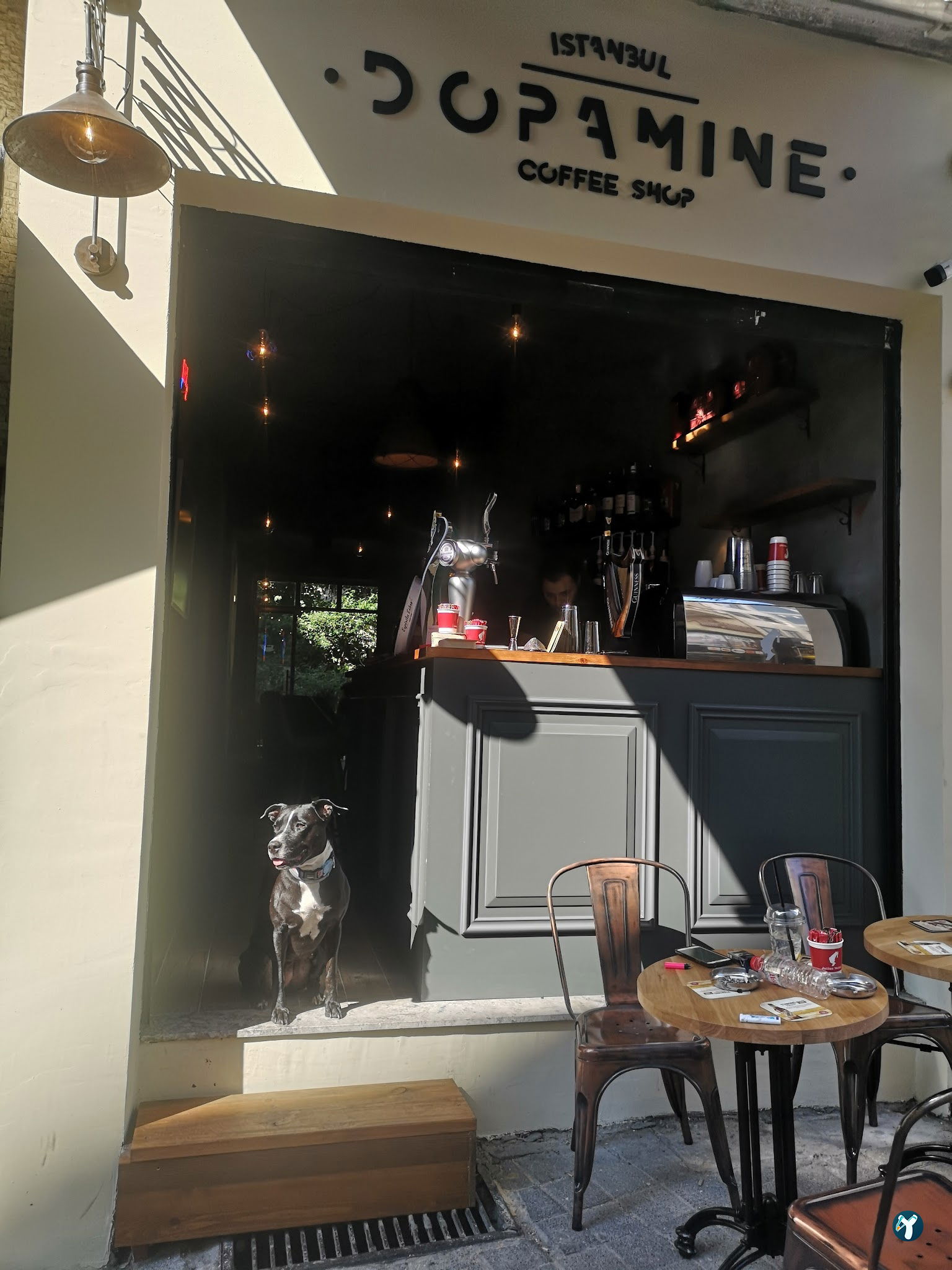 Dopamine Coffee Shop - Moda