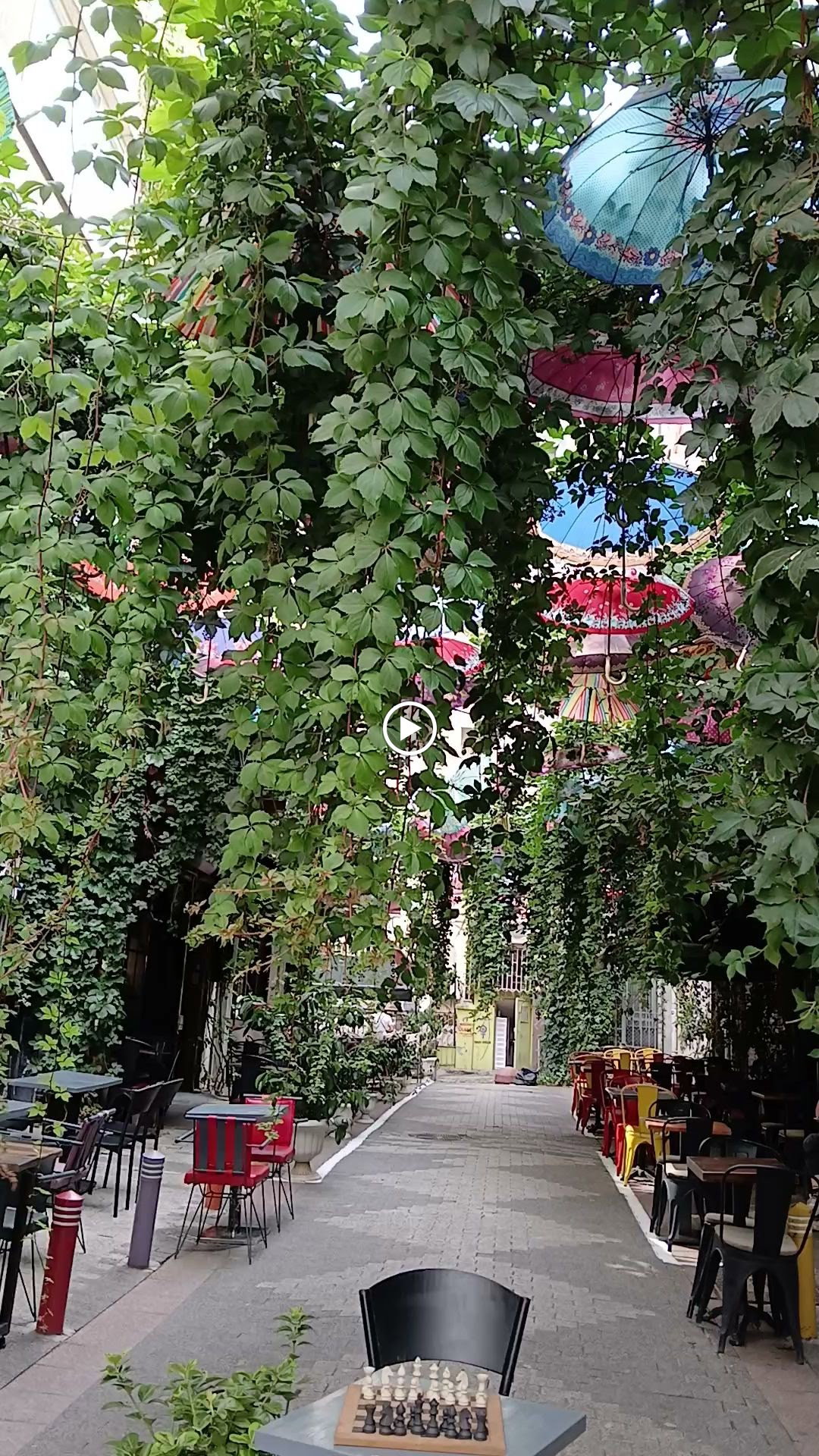 Arkadaş Satranç Kafe