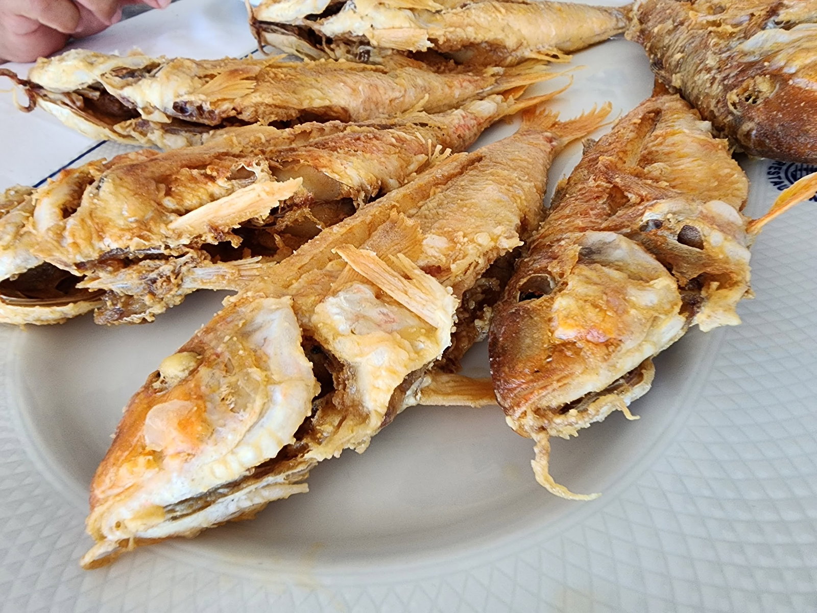 İzmir Deniz Restaurant alsancak