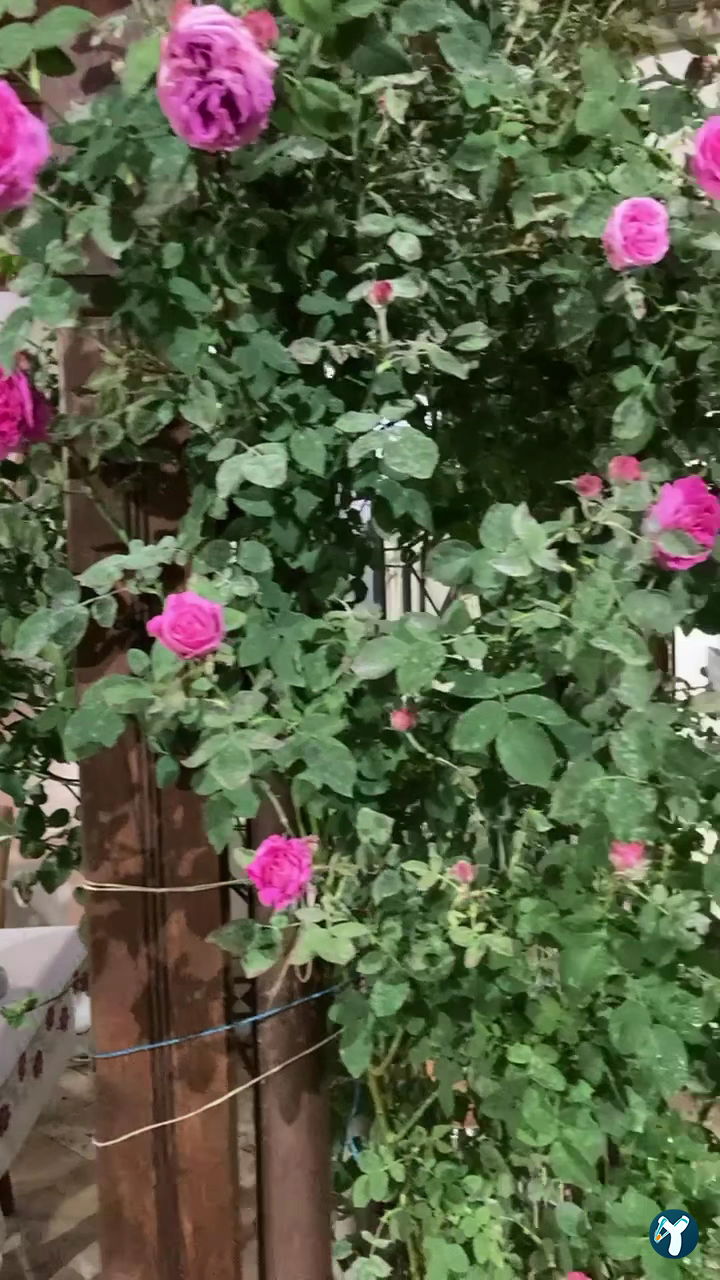 Katipler Konağı