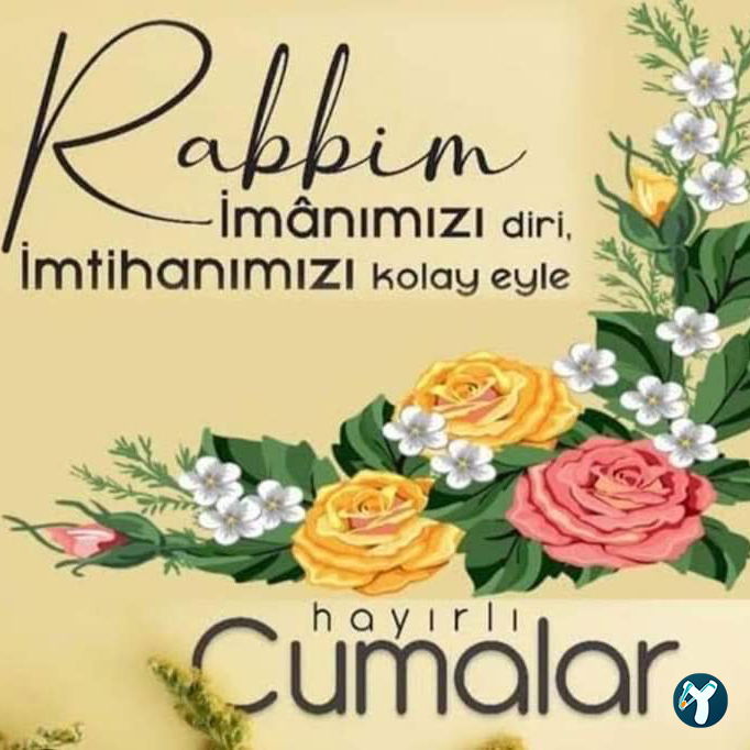 Öz Mevlana Pide
