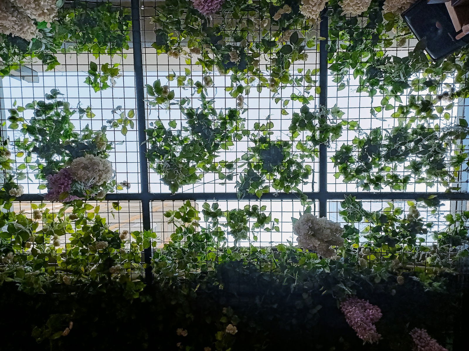 Walk In Wok & Sushi Bar