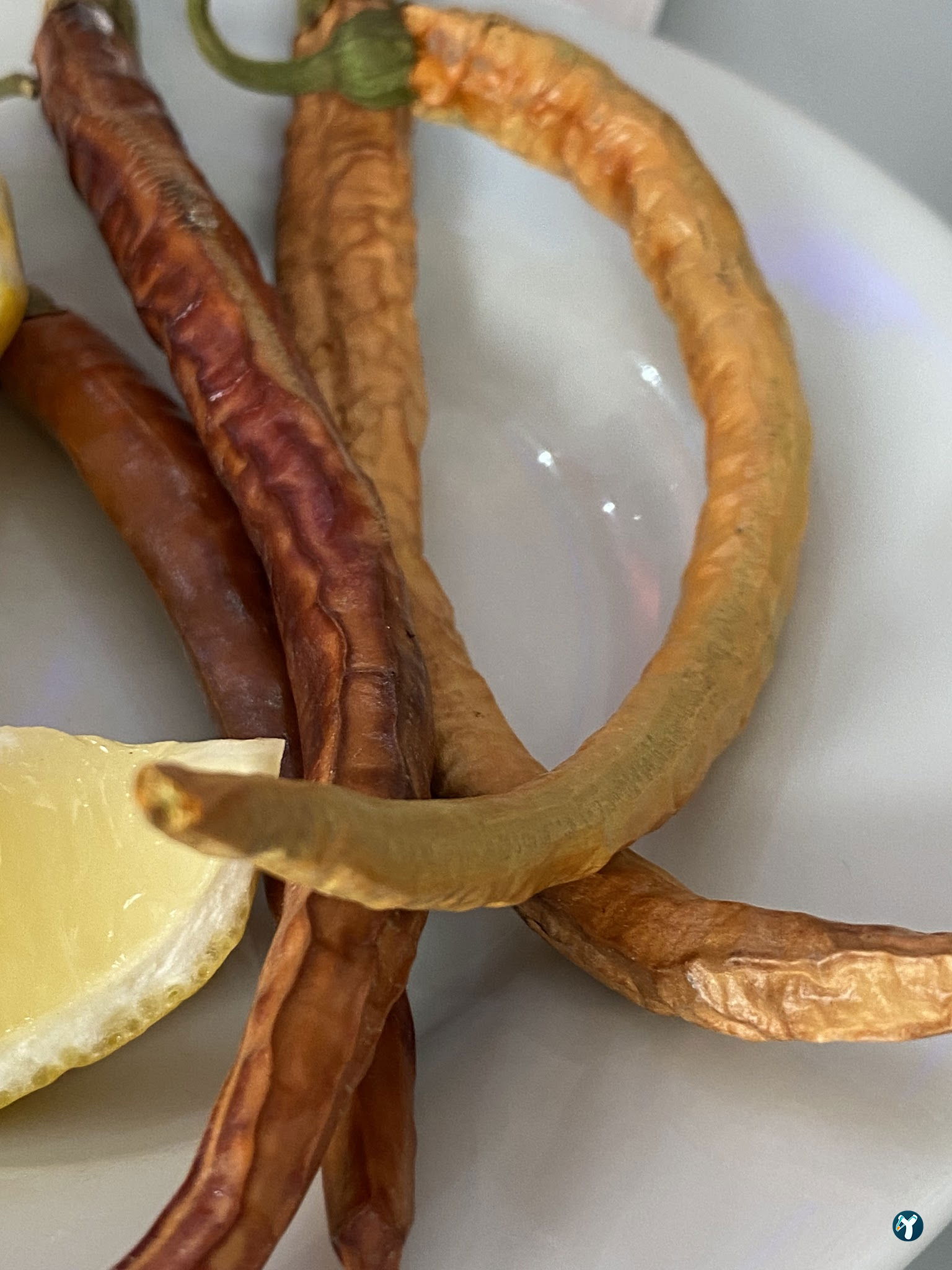 Tavasli Pide