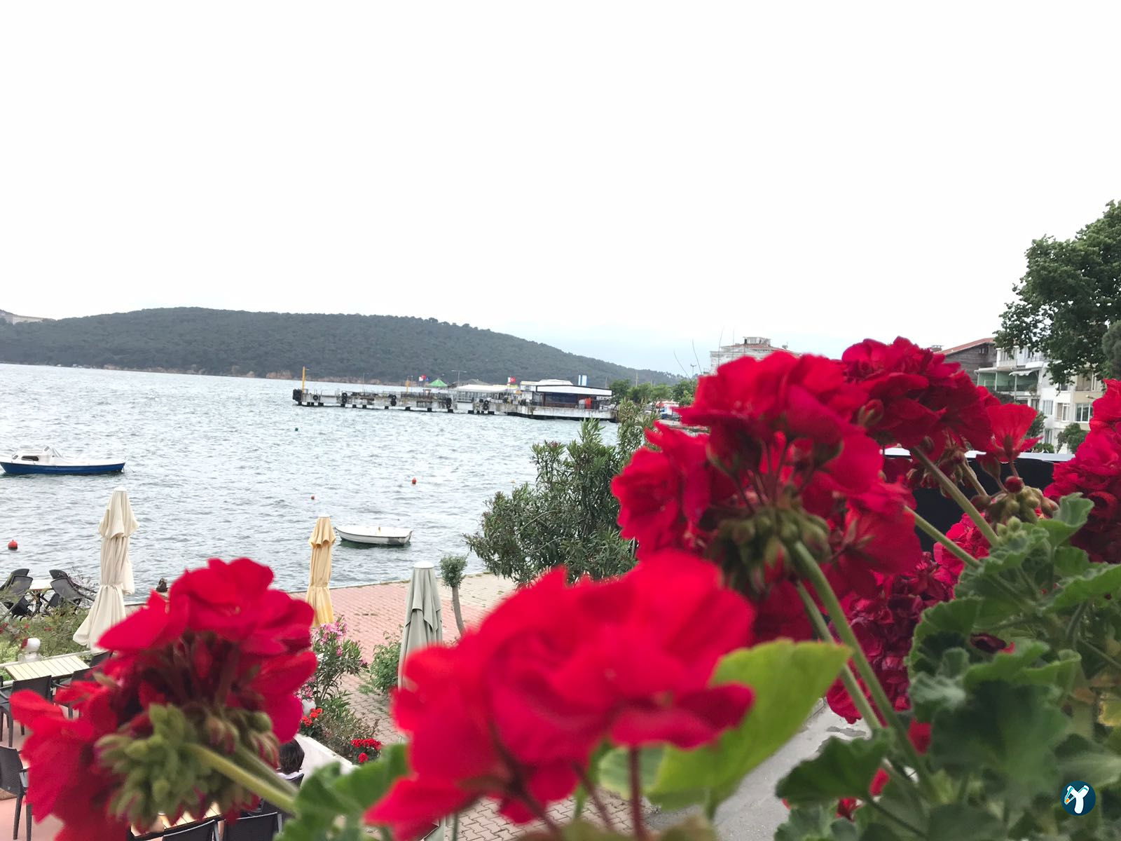 Sevim Terrace Cafe