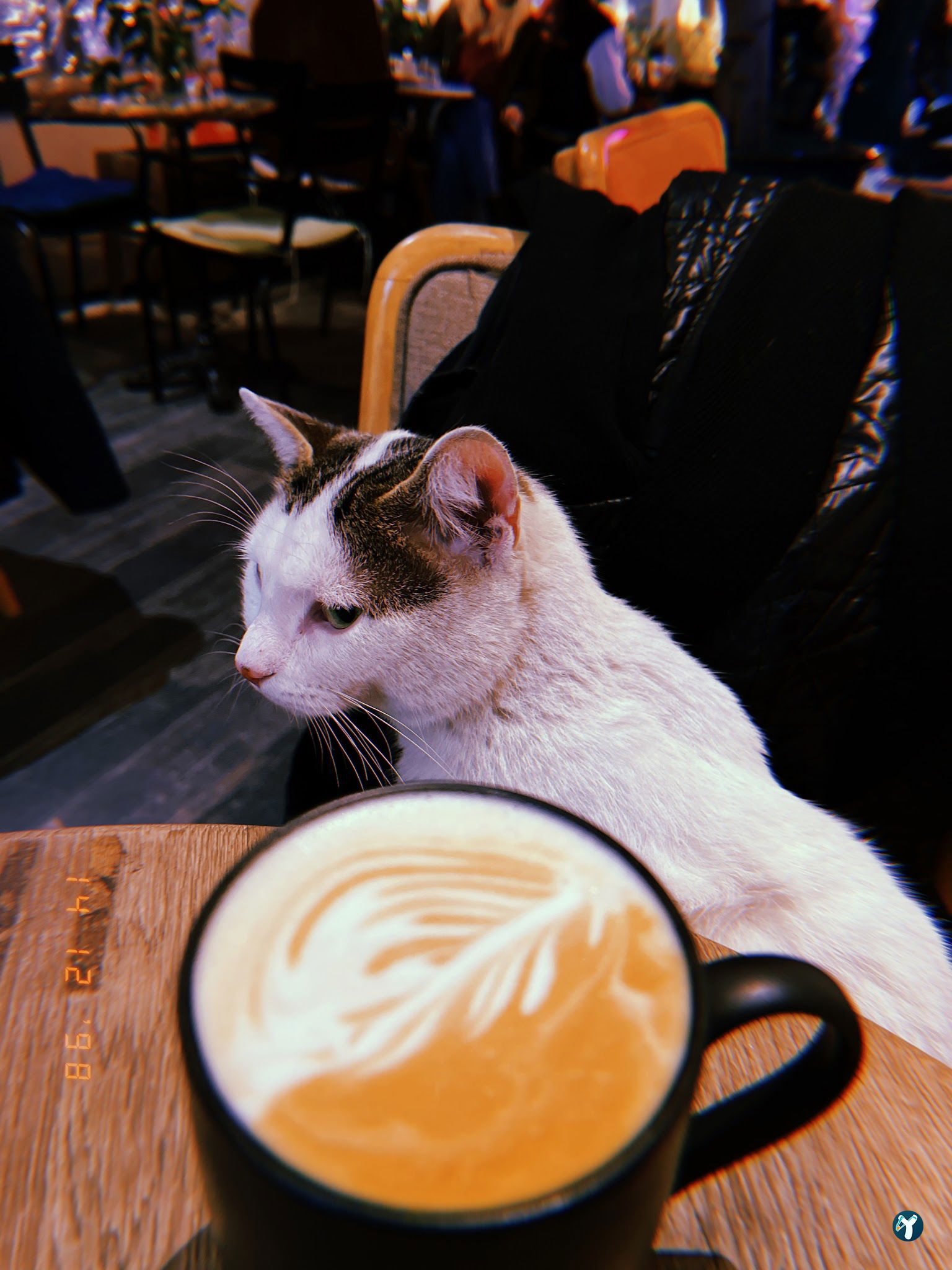 Books & Coffee Yeldeğirmeni