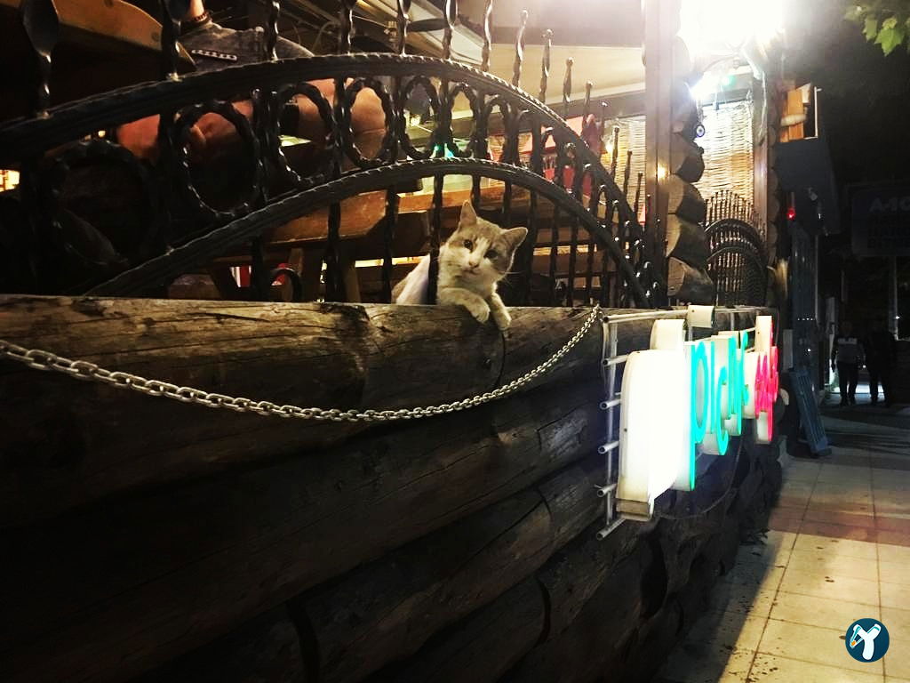 Piknik Cafe