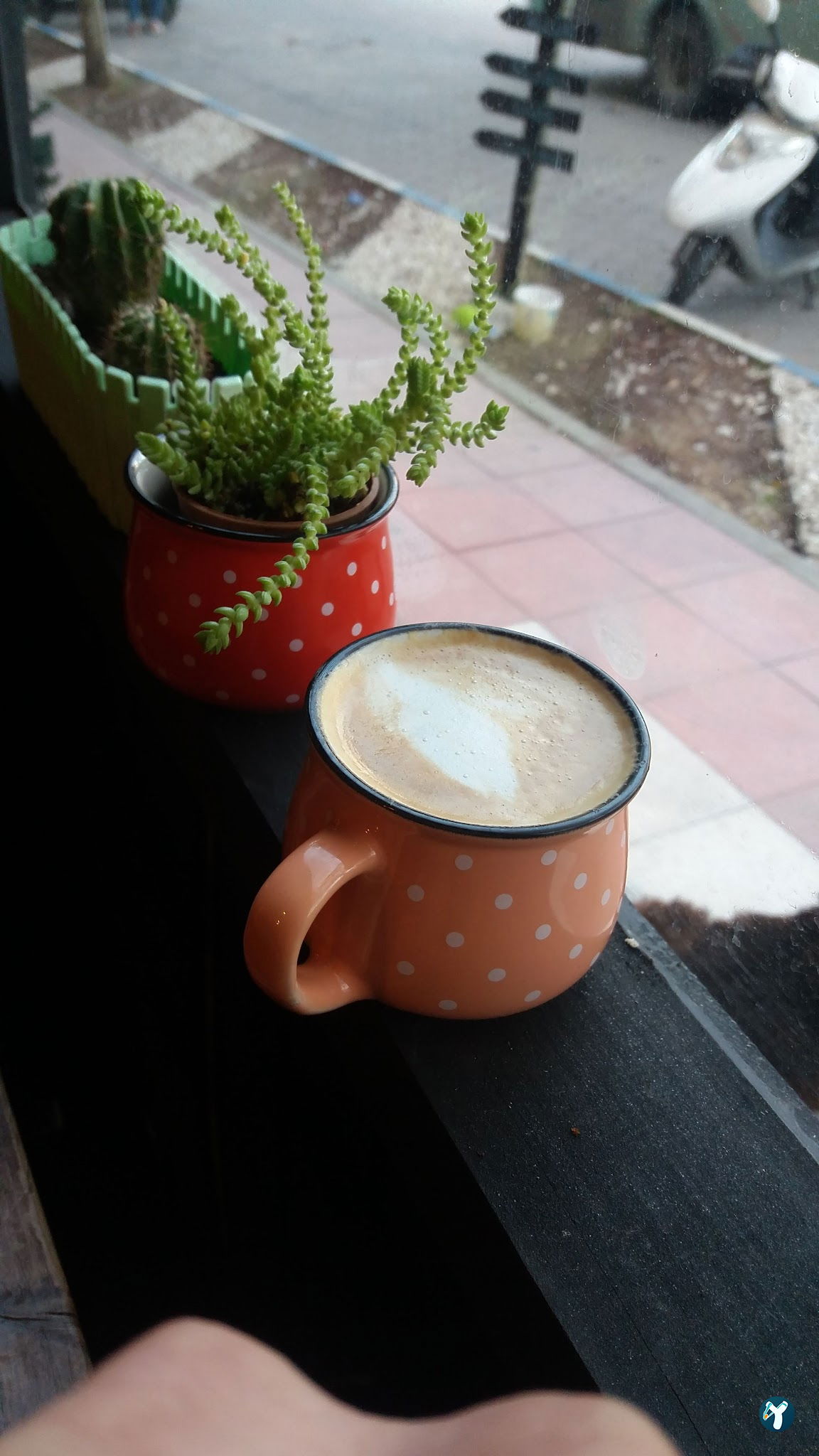 Piknik Cafe