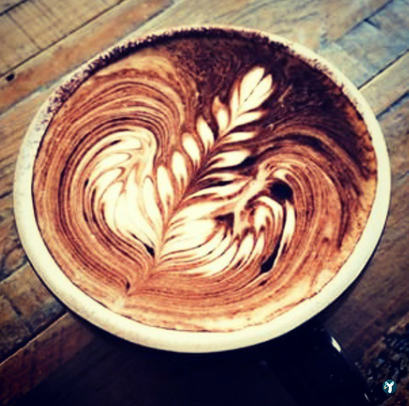 Piknik Cafe