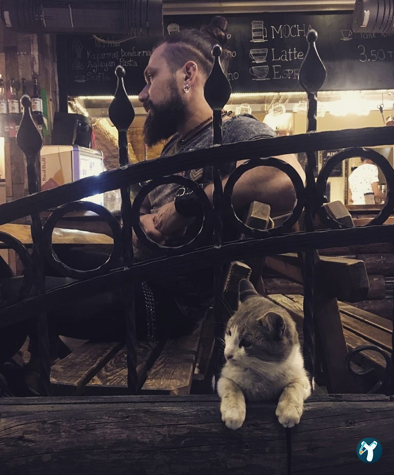 Piknik Cafe
