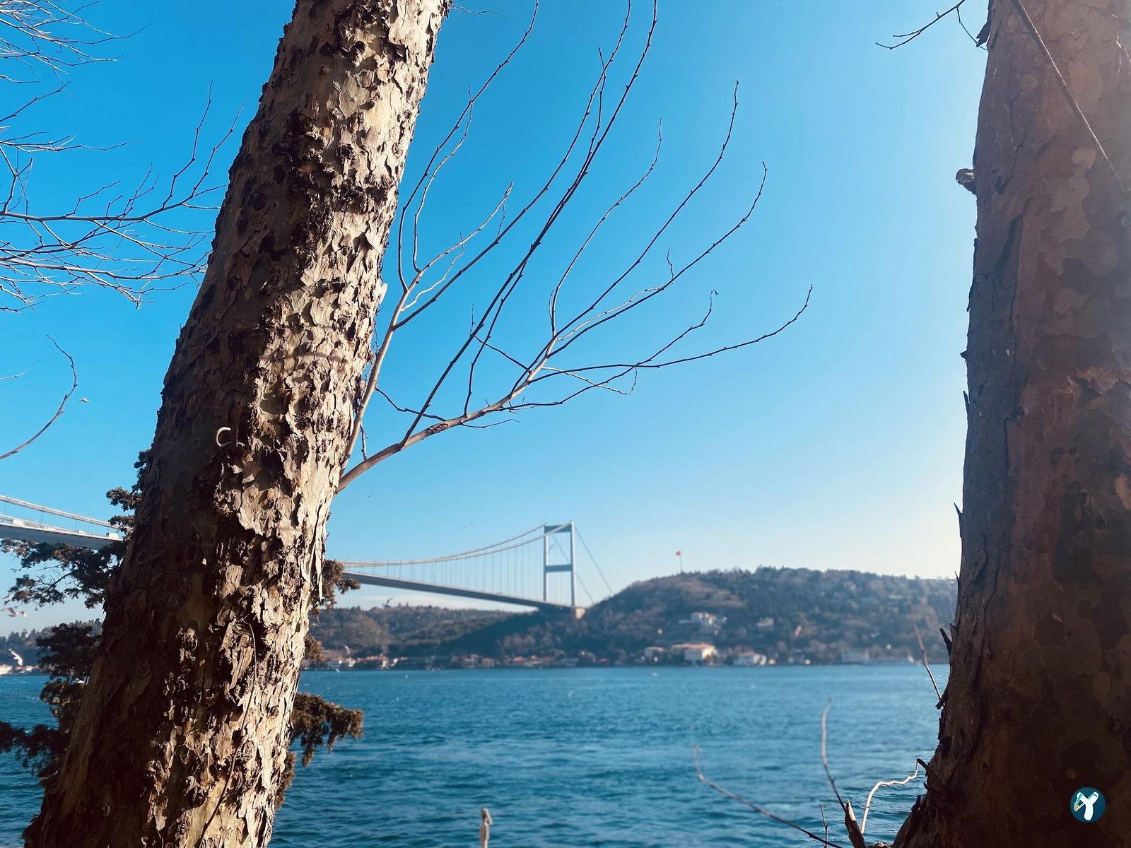 Rumeli Kale Cafe & Restaurant (Merkez)