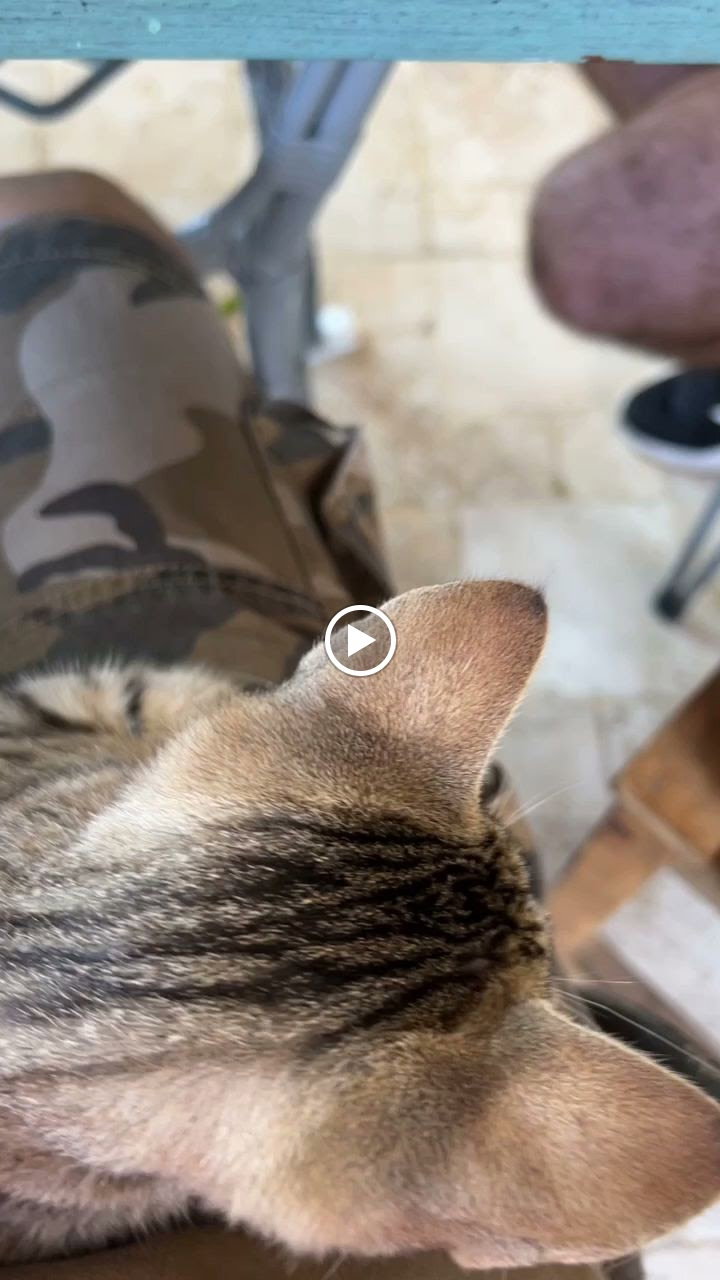 Sarı Demlik Kahvaltı