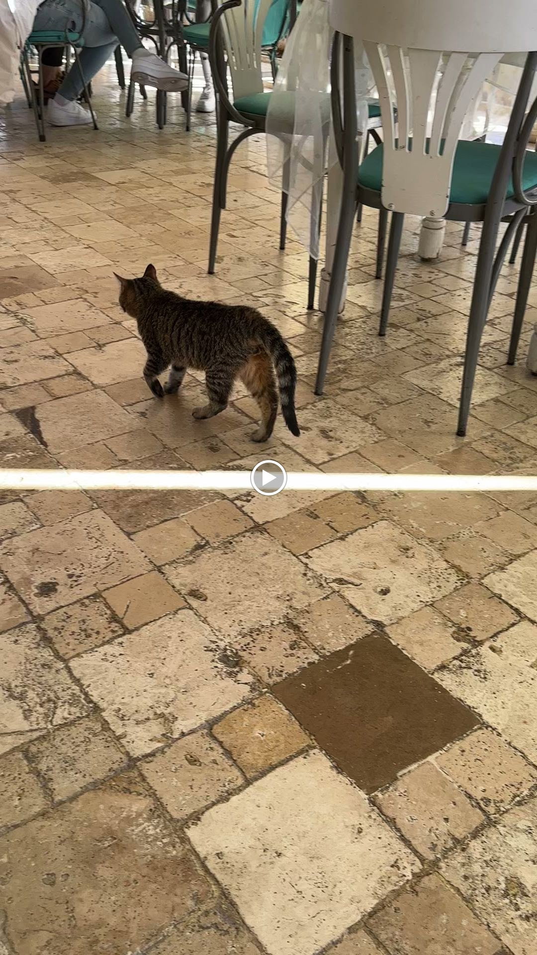 Sarı Demlik Kahvaltı