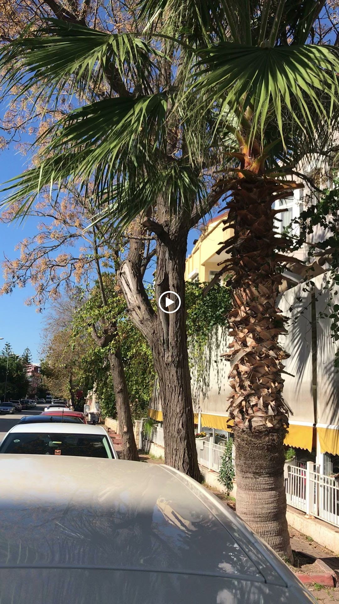 Sarı Demlik Kahvaltı