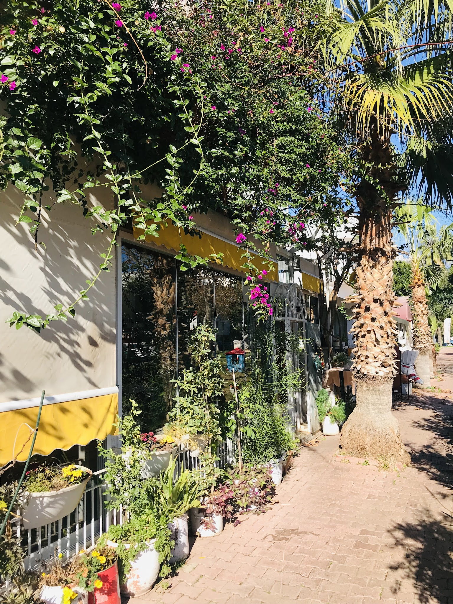 Sarı Demlik Kahvaltı