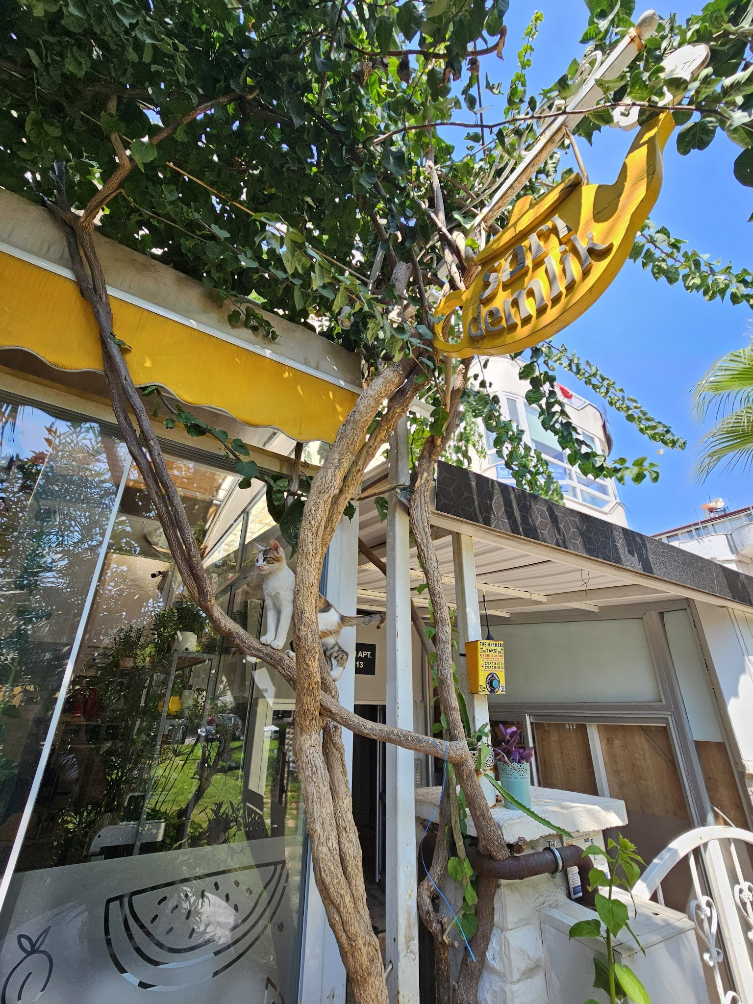 Sarı Demlik Kahvaltı