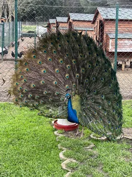 Casa Kilyos Padel Club resimleri