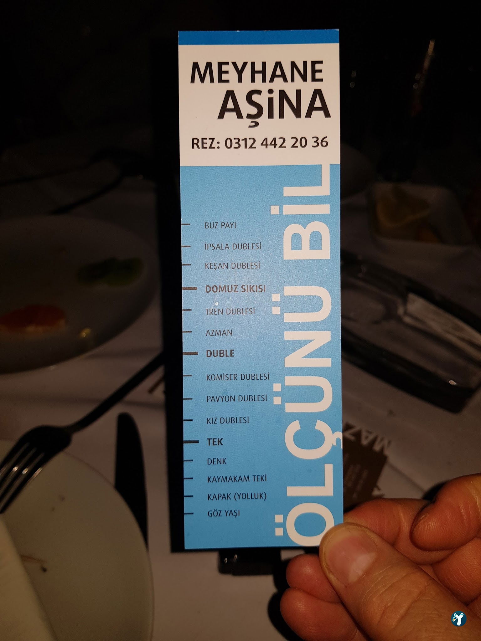 Meyhane Aşi̇na
