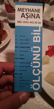 Meyhane Aşi̇na resimleri