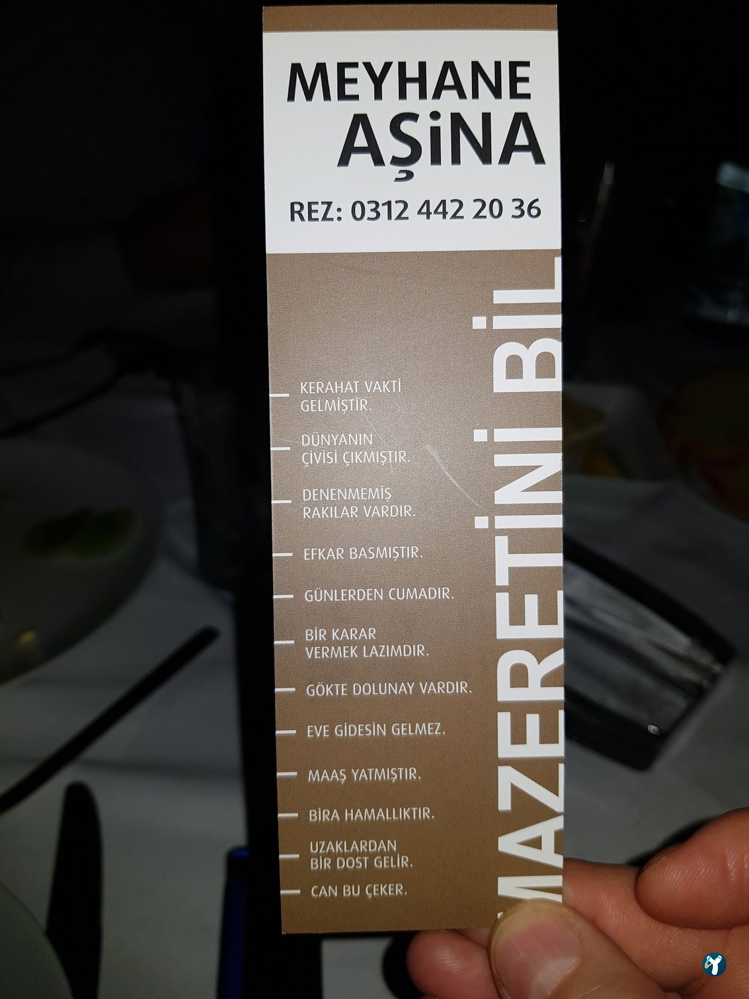 Meyhane Aşi̇na