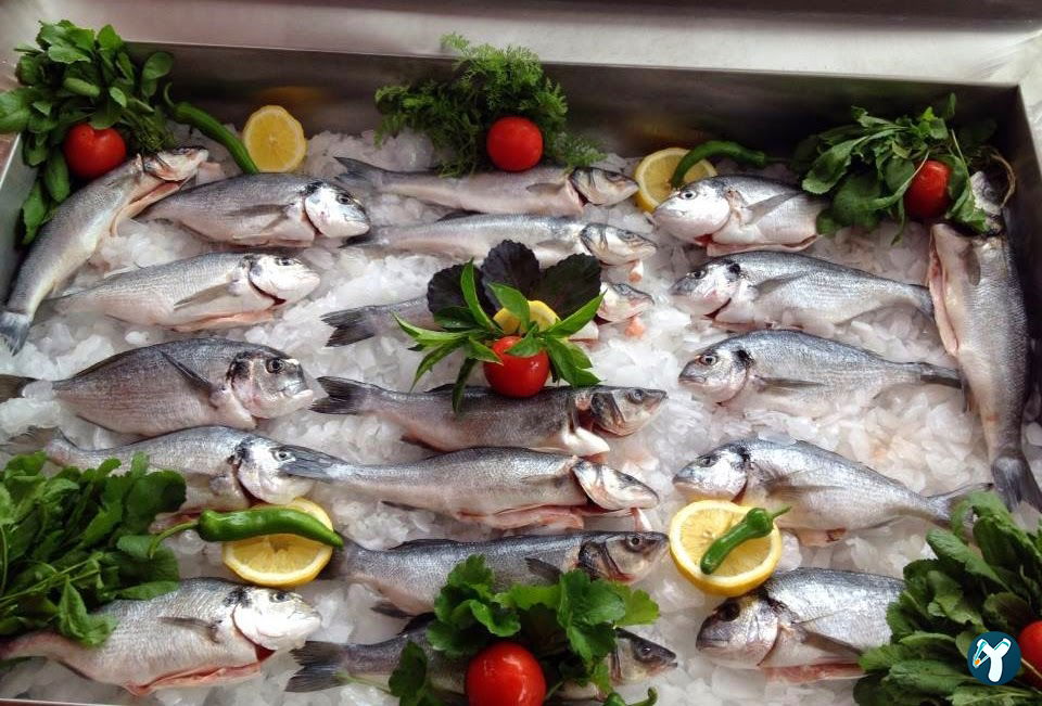Location Zirve Restaurant Alanya