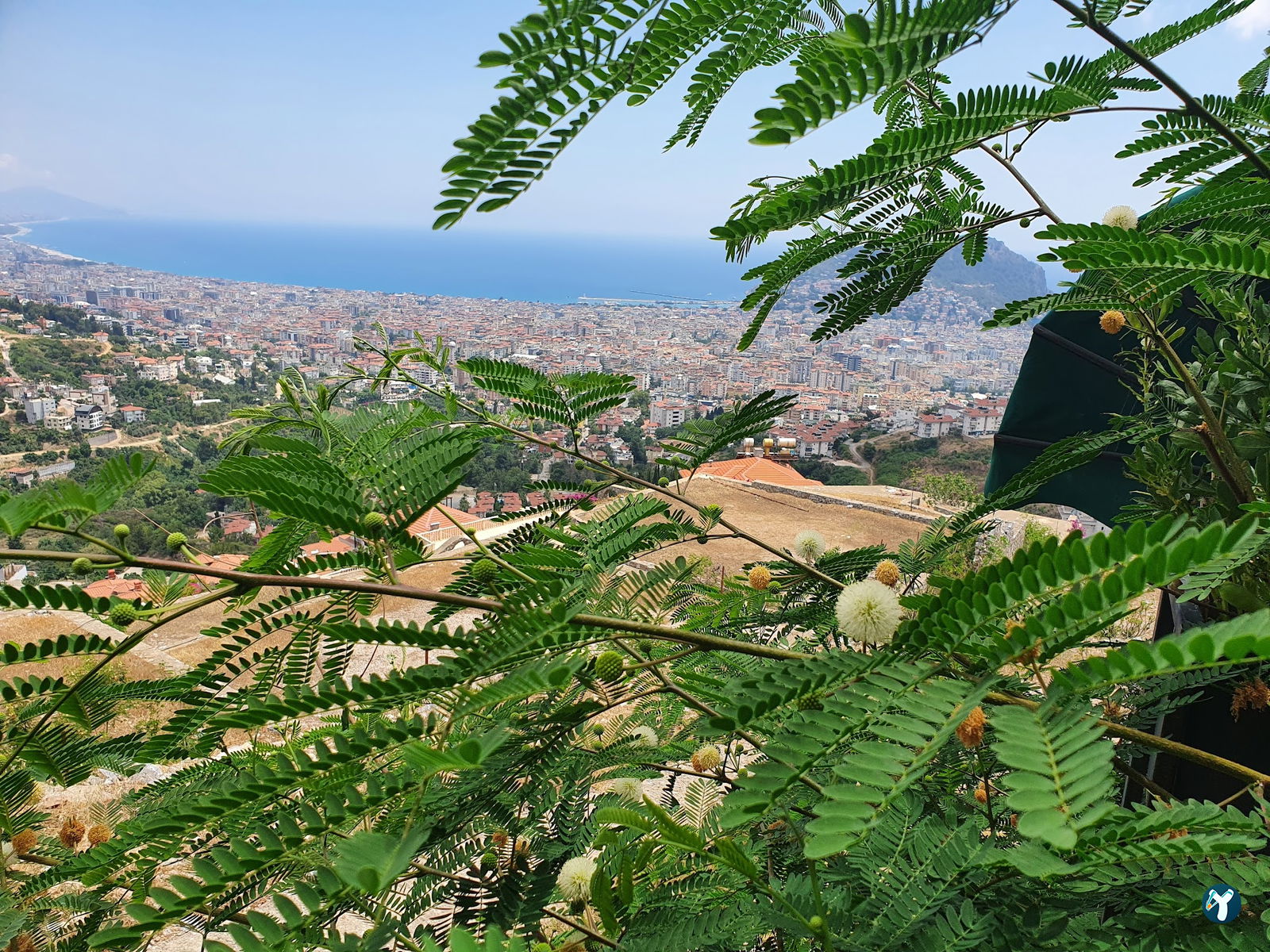 Location Zirve Restaurant Alanya