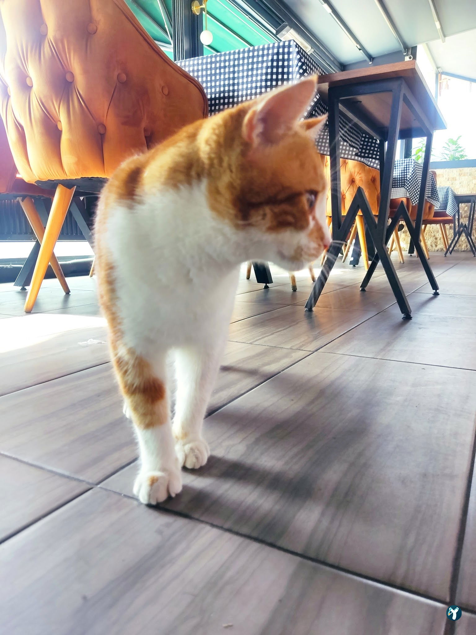 Location Zirve Restaurant Alanya