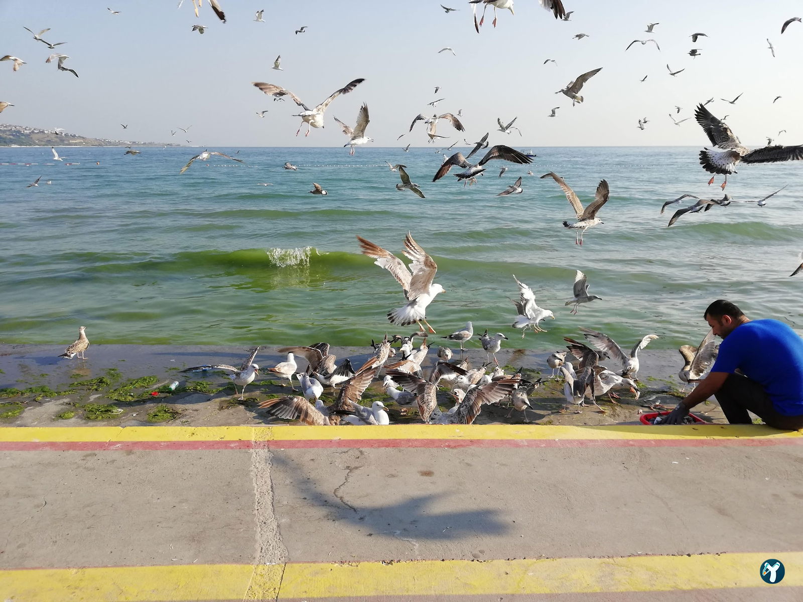 Büyükçekmece Rizeliler Derneği