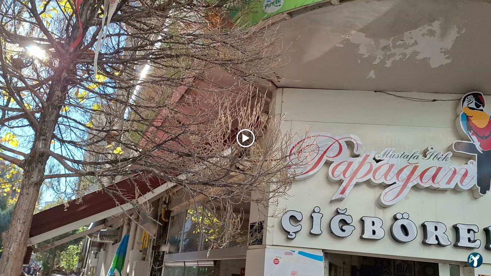 Papağan Çiğbörek