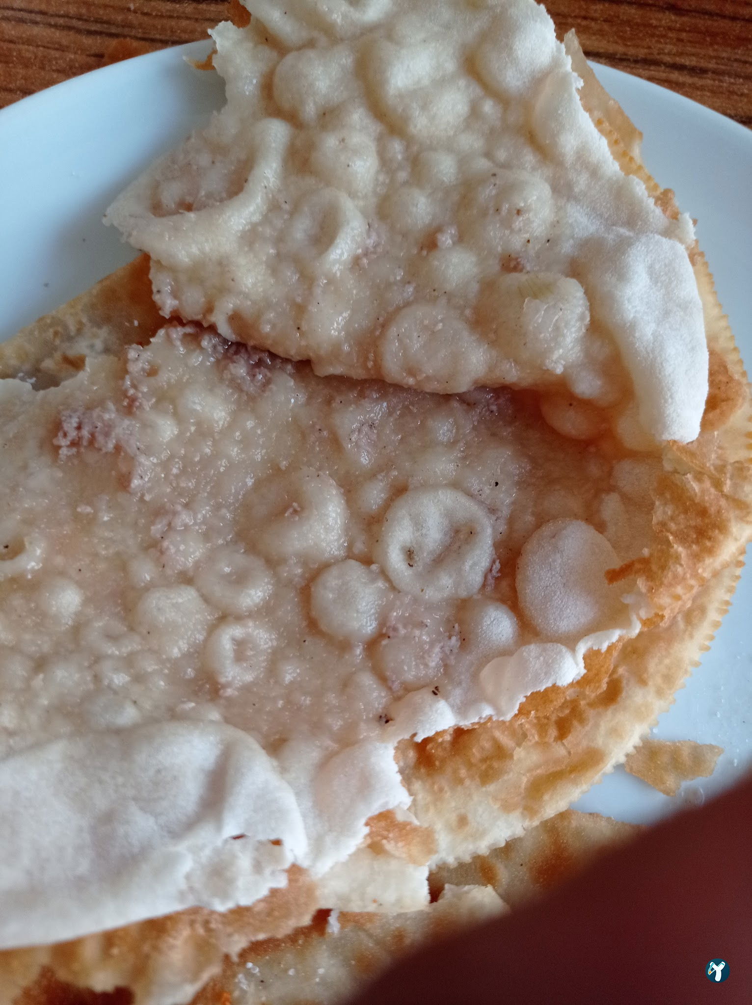 Papağan Çiğbörek