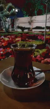 Fatih Belediyesi Çay Bahçesi resimleri Fatih Belediyesi Çay Bahçesi resimleri