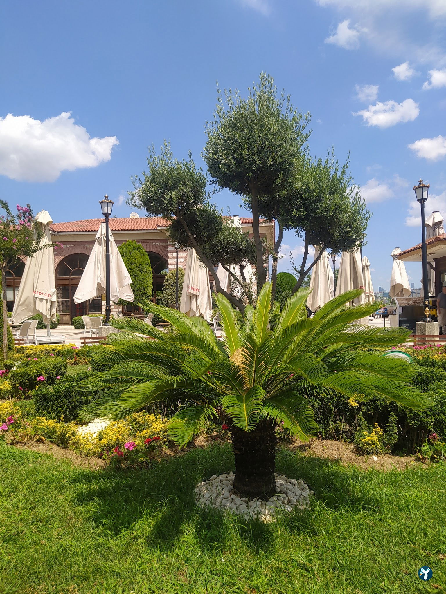 Fatih Belediyesi Çay Bahçesi