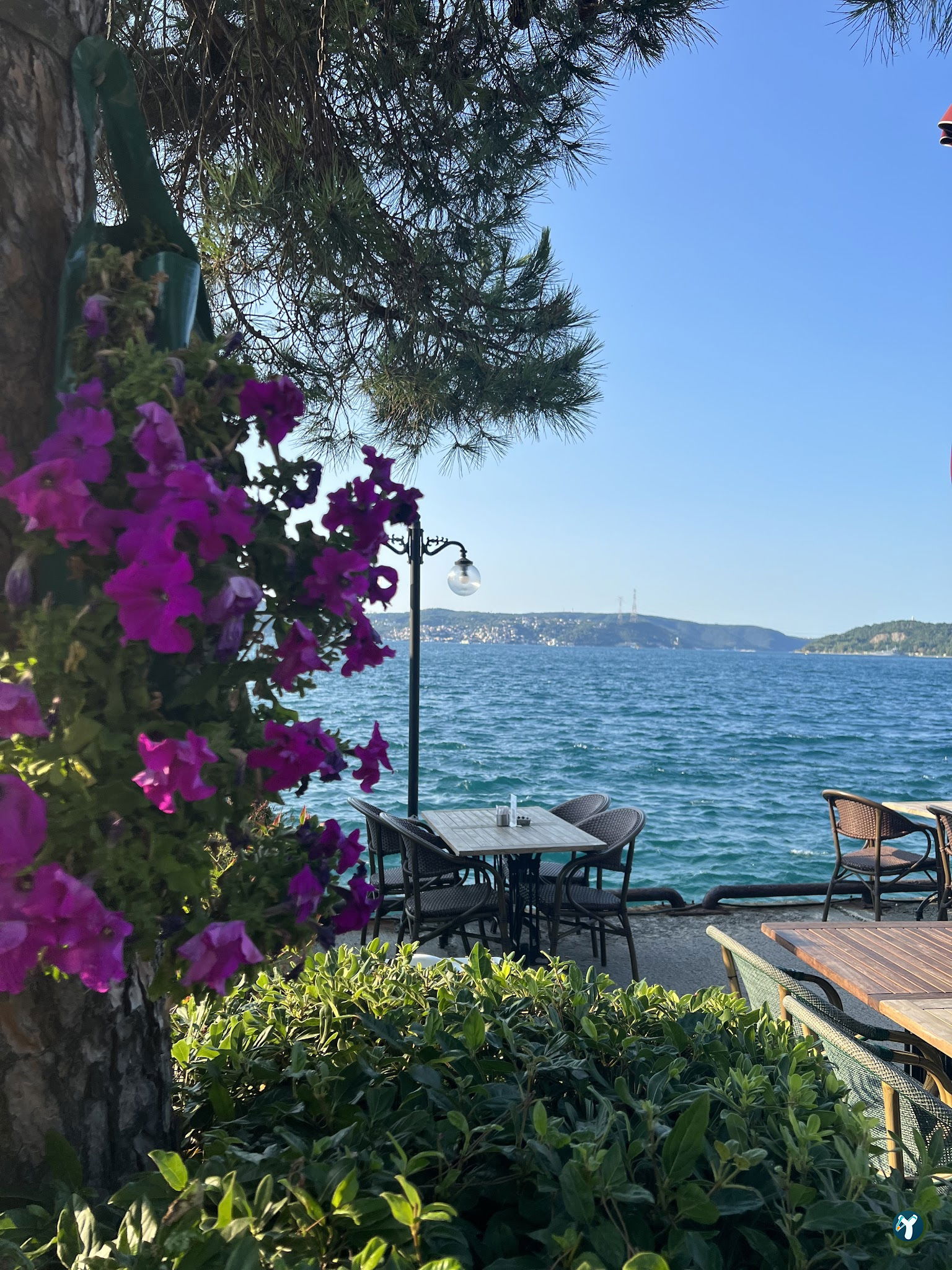 Hayrola Cafe