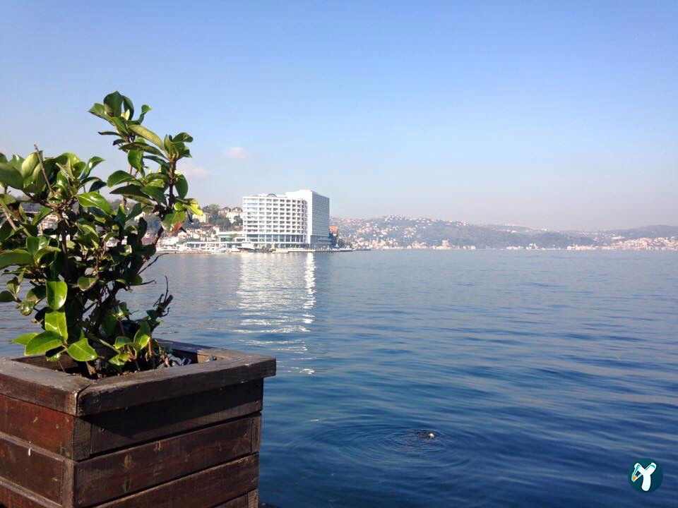 Hayrola Cafe