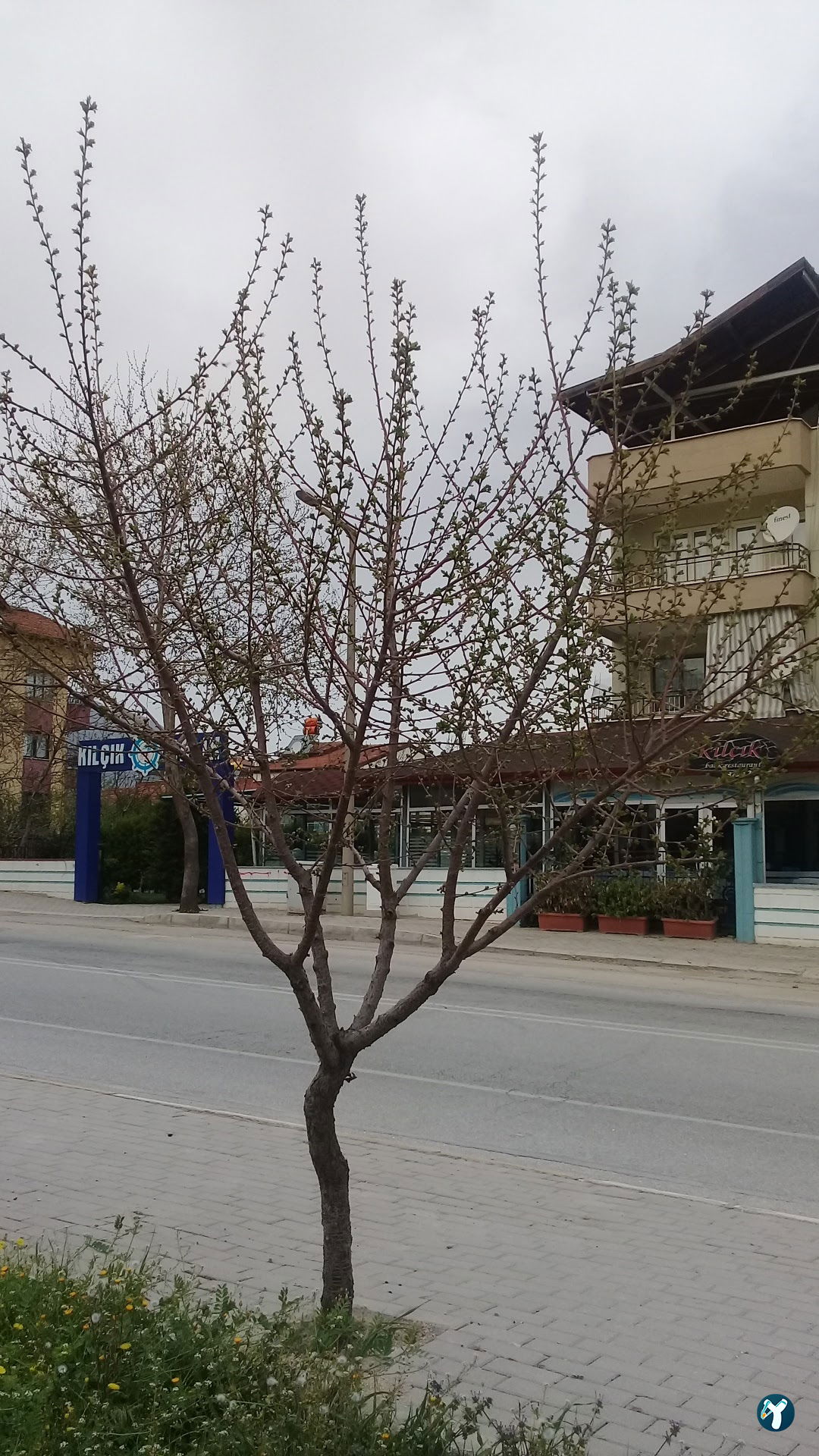 Denizli Çilingir