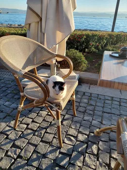 Rastlantı Lounge resimleri