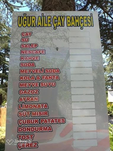 UĞUR AİLE ÇAY BAHÇESİ