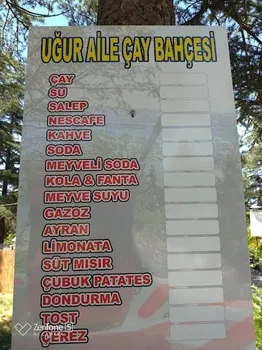 UĞUR AİLE ÇAY BAHÇESİ resimleri