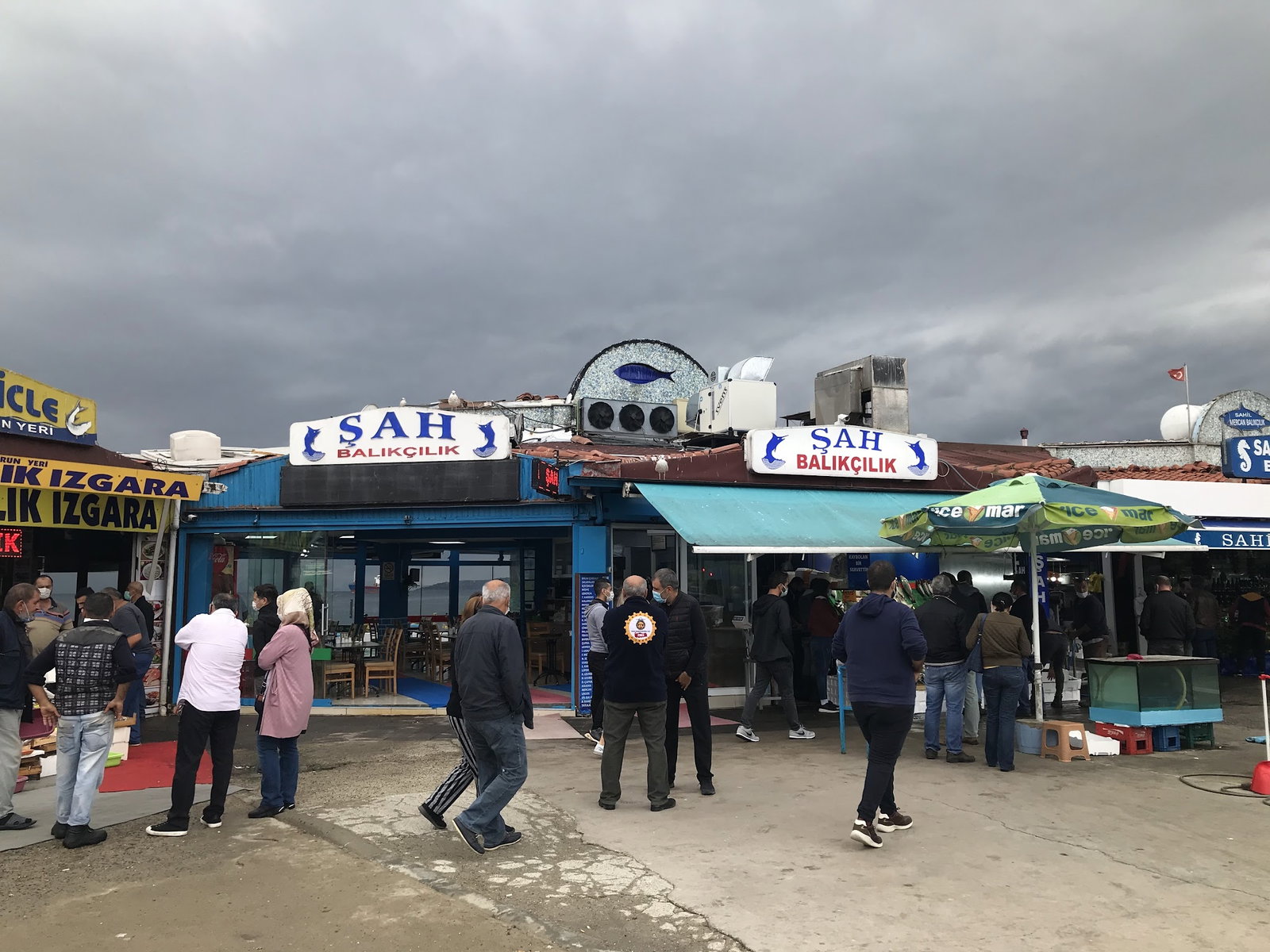 Şah Balıkçılık